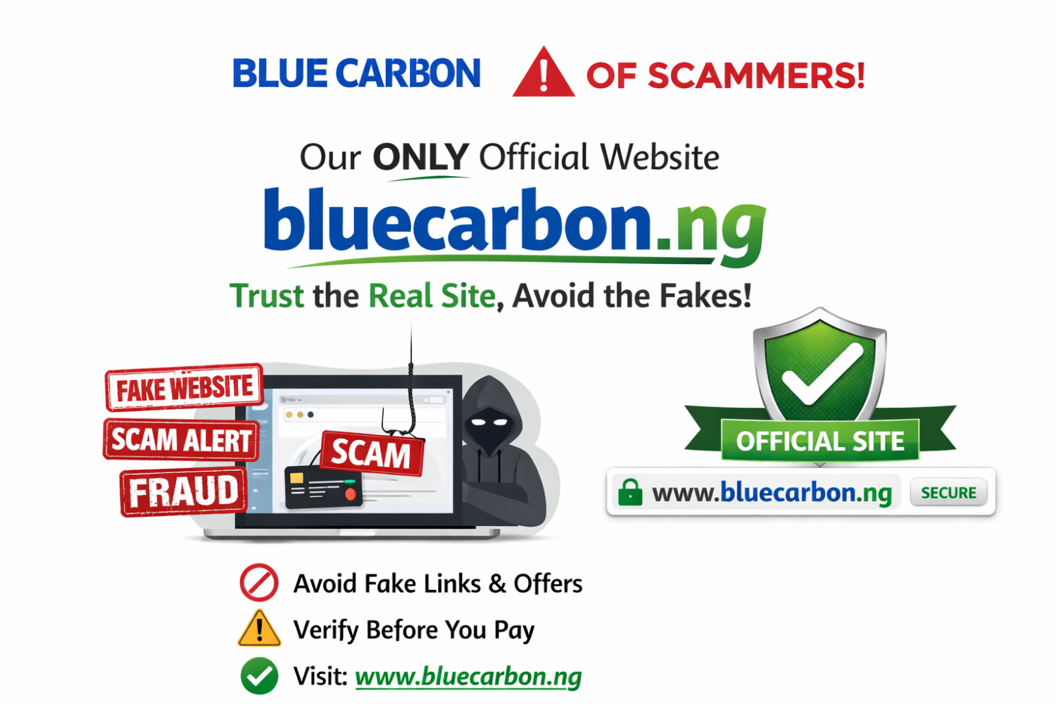 bluecarbon.ng is Blue Carbon Official Nigeria Website: Beware of Spammers