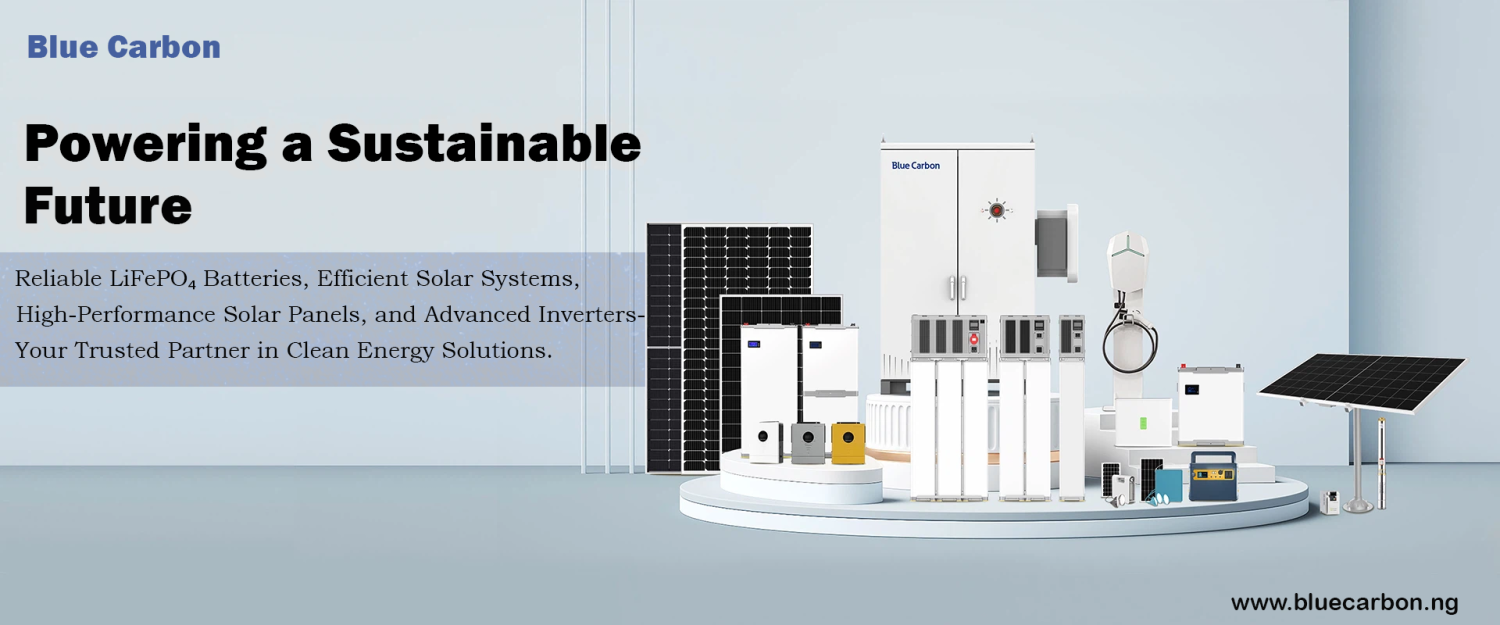 Blue Carbon Nigeria promo